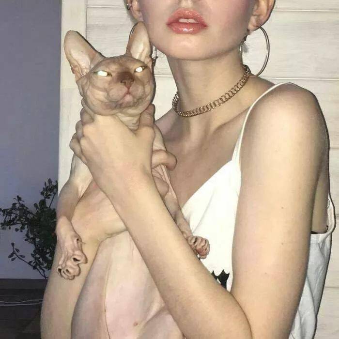 transfers@Irene